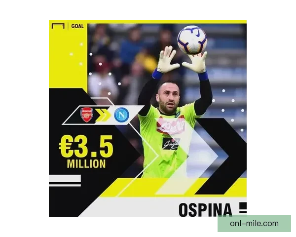 2025夏季转会里昂引进意甲后腰提升中场防守实力